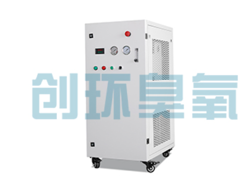 临沂石斑鱼养殖水质调控完整指南：臭氧发生器配置与操作步骤