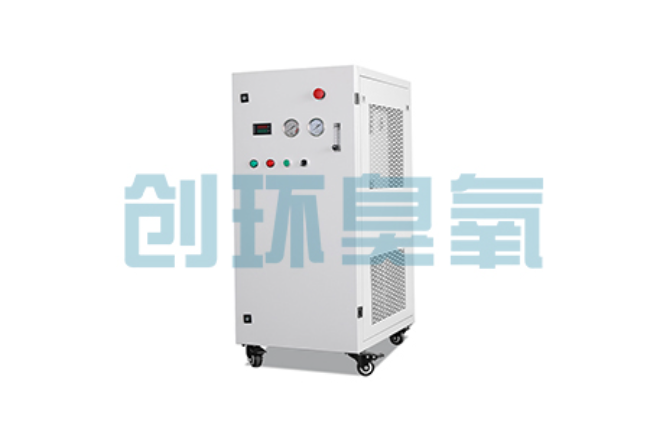 临沂比传统换水更高效？臭氧发生器在石斑鱼养殖中的水质净化原理解析